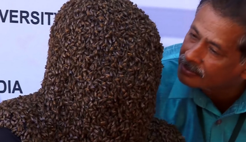 Pčele su mu najbolji drugari – drži njih 60.000 na licu i uživa!