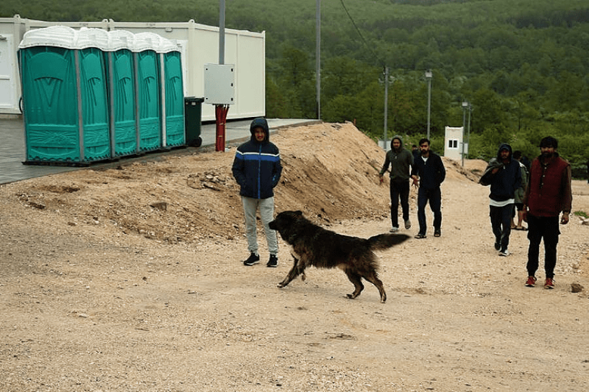 Зворник,Требиње и Хум кључна мјеста уласка миграната