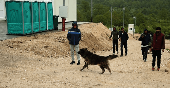Zvornik,Trebinje i Hum ključna mjesta ulaska migranata