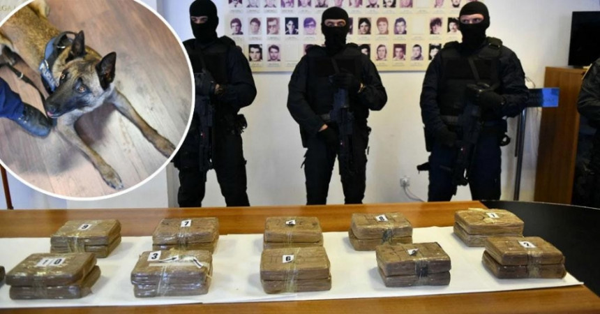 Pas nanjušio kokain vrijedan više od dva miliona evra