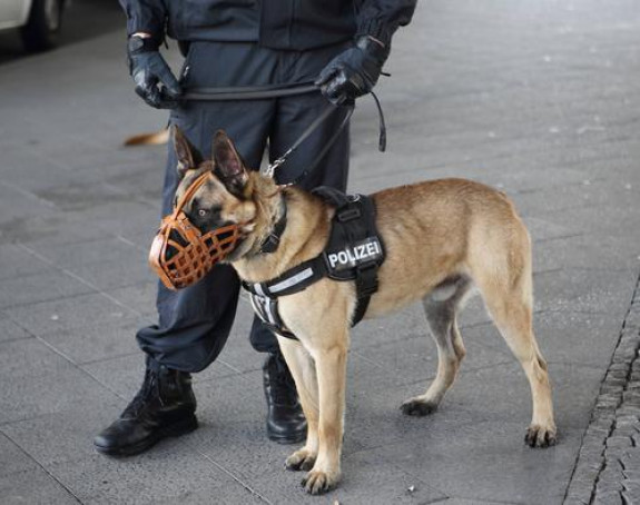 U Njemačkoj se psi obučavaju da otkrivaju koronu