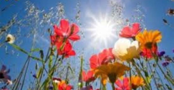 Sunčano i veoma toplo vrijeme uz rast temperature