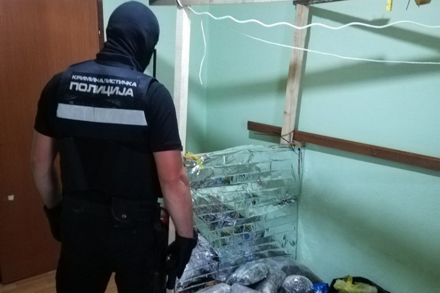 Akcija "Skradin": Poznata imena uhapšenih dilera