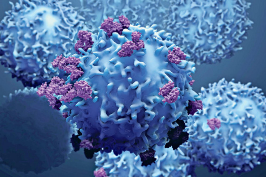 Ako imate T-ćelije sigurni ste od virusa korona?!