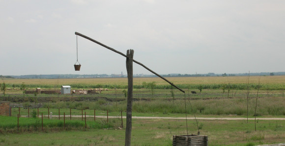 Da li su alge krive za endemsku nefropatiju?