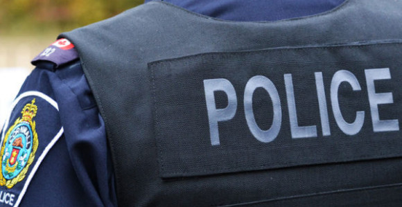 Policija izašla hitno na teren, pa dobila batine od žene! (VIDEO)