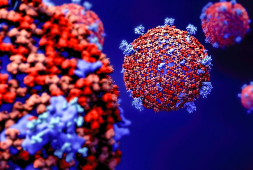 U Srbiji sve manji broj novozaraženih virusom korona