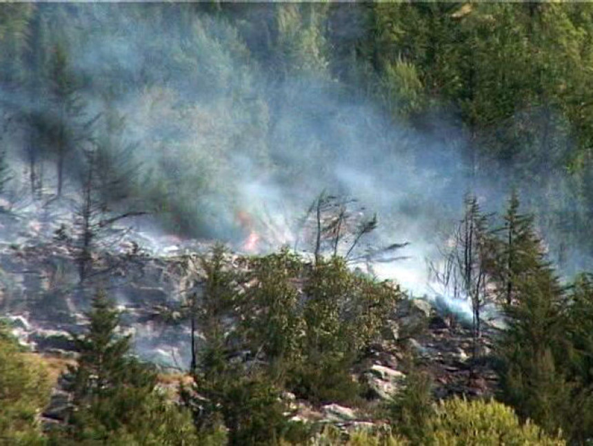 Pronađena osoba koja je izazvala požar u Trebinju