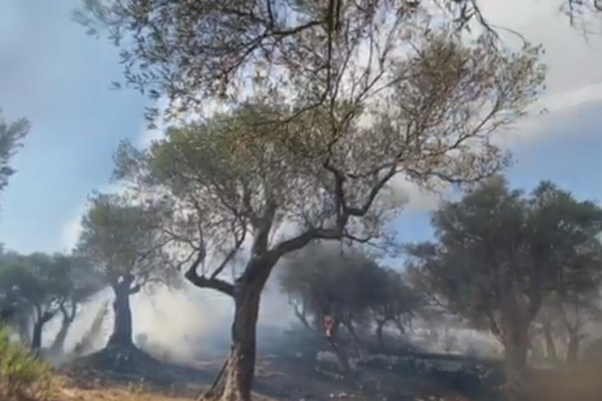 Veliki požar u Ulcinju gasila dva helikoptera