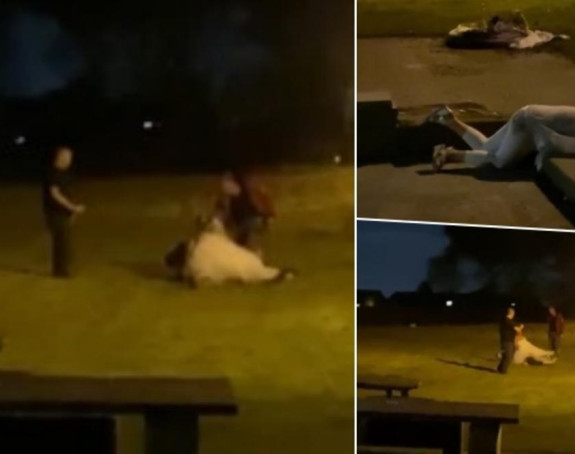 Mlada u venčanici tukla goste na livadi, dok je prijateljica mortus pijana spavala!