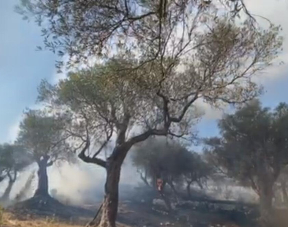 Veliki požar u Ulcinju gasila dva helikoptera