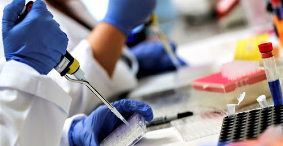 Zašto je obustavljeno testiranje vakcine sa Oksforda?