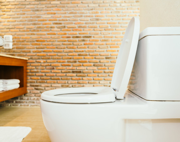 Mladića ujeo piton za penis dok je sedeo na wc šolji! (VIDEO)