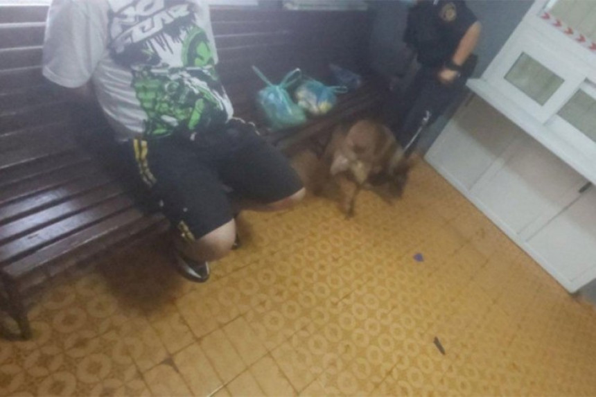 Сарајево: Носио дрогу брату у затвор, открио га пас