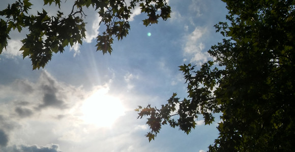 Prije podne sunčano, poslije podne moguća kiša