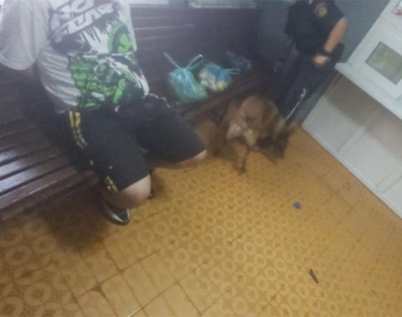 Sarajevo: Nosio drogu bratu u zatvor, otkrio ga pas