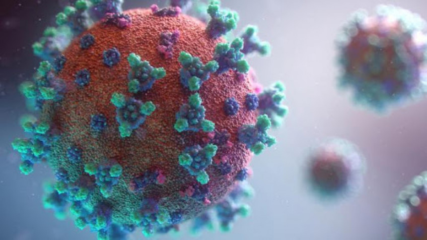 U FBiH još 238 osoba pozitivno na virus korona