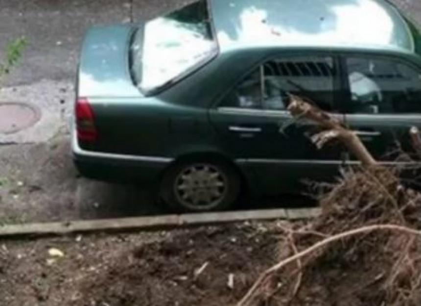 Oluja u Podgorici: Počupana stabla, uništena vozila