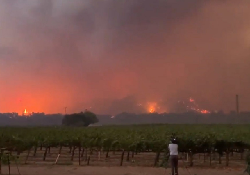 Stravično: Požari bjesne, vatra guta vinograde (VIDEO)