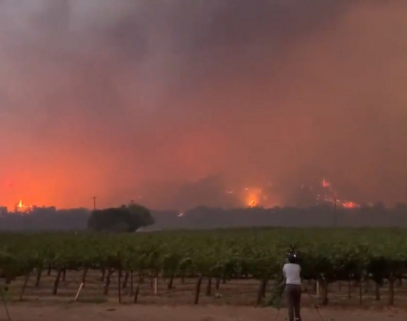 Stravično: Požari bjesne, vatra guta vinograde (VIDEO)