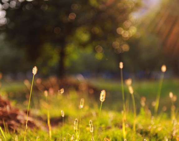 Danas sunčano - temperatura do 22 stepena