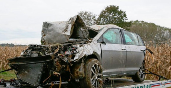 Poginula dva fudbalera u sudaru sa divljim svinjama