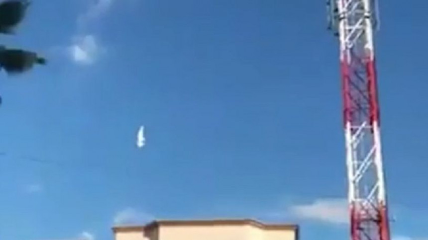 Golub nepomično stoji u vazduhu! (VIDEO)