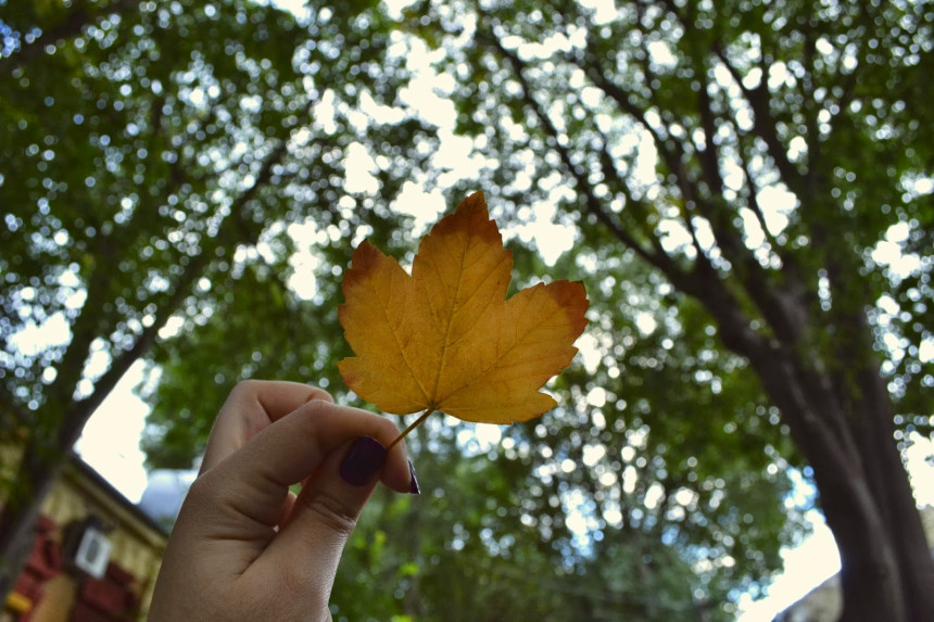 Najviša dnevna temperatura oko 17 stepeni