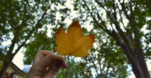 Najviša dnevna temperatura oko 17 stepeni