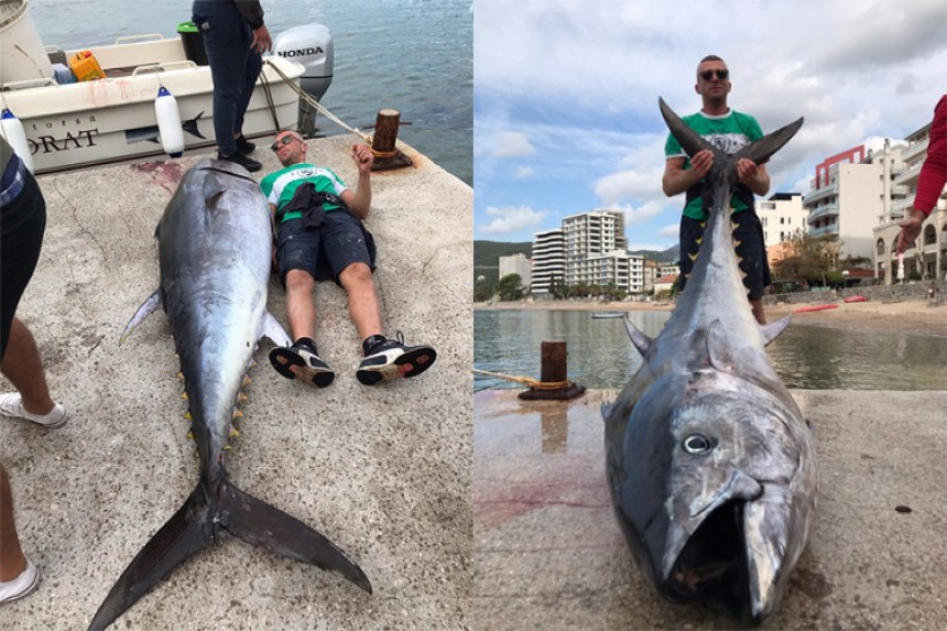 Рибари у Будви уловили туну од два метра
