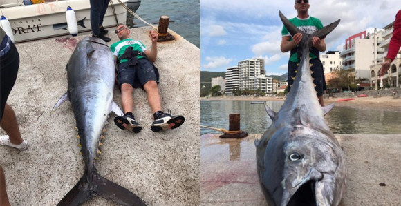 Ribari u Budvi ulovili tunu od dva metra