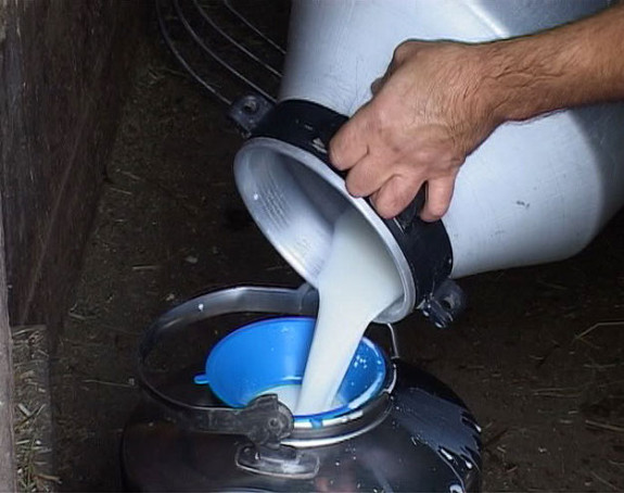 Пољопривредници затрпани вишком меса и млијека