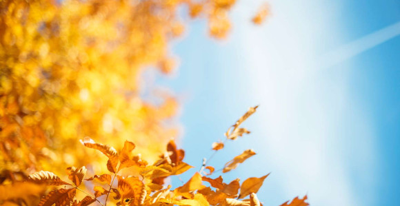 Topla jesen: Temperature i do 22 stepena