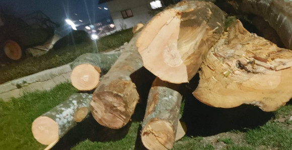 Rogatica: Kupovina glasova ogrjevnim drvima