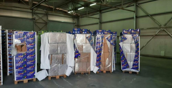 Zaplijenjeno više od dvije tone droge u Crnoj Gori