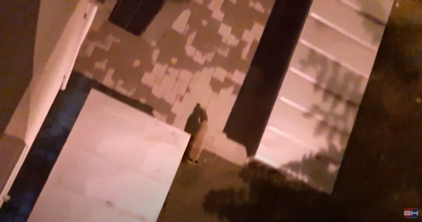 Zanimljivost: Lisica šeta banjalučkim ulicama (VIDEO)