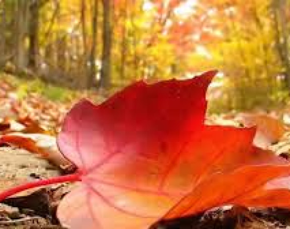 Danas pretežno sunčano i malo oblačno