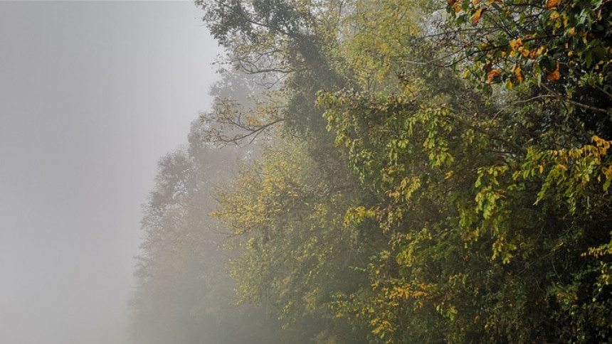 Danas oblačno, temperatura do 19 stepeni