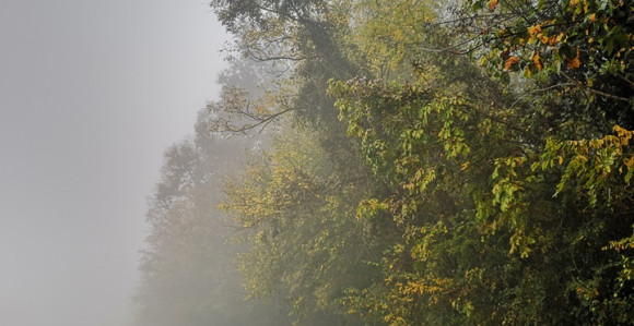Danas oblačno, temperatura do 19 stepeni