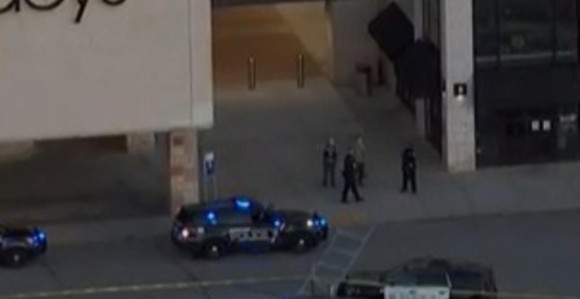 SAD: U pucnjavi u tržnom centru osmoro ranjenih