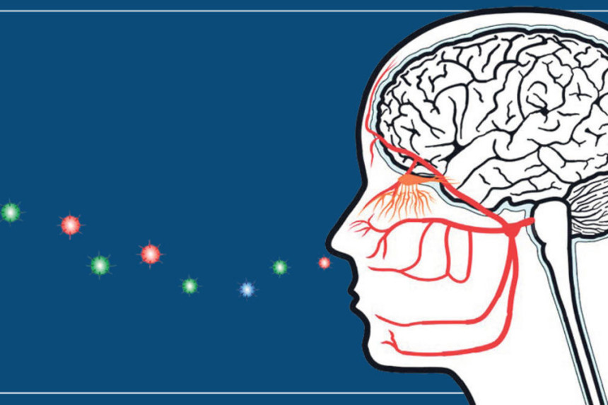 Ko izgubi čulo mirisa ima antitijela na koronu