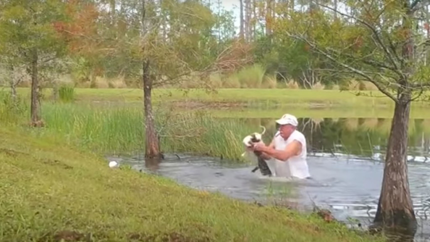 Iščupao štene iz čeljusti aligatora! (VIDEO)