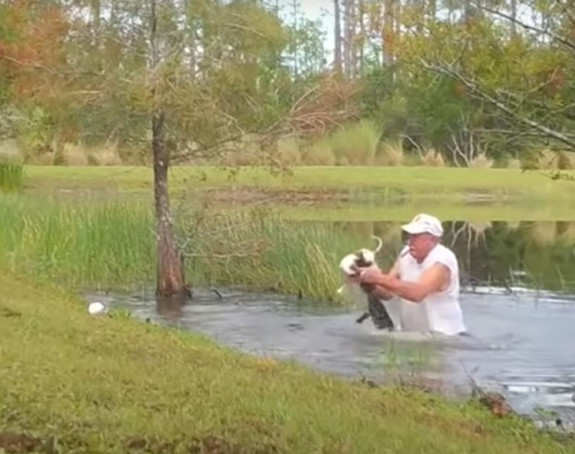 Iščupao štene iz čeljusti aligatora! (VIDEO)
