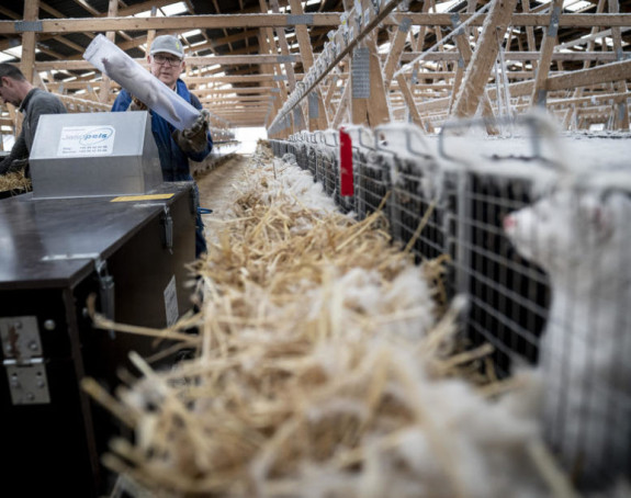 Životinje naglo umiru, utvrđeno da imaju koronu