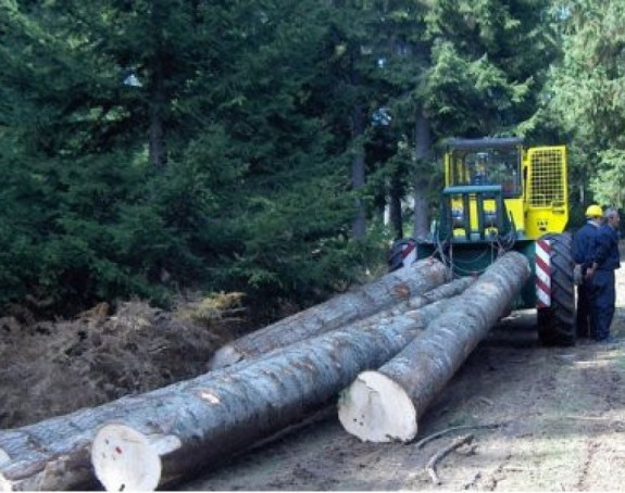 "Šume Srpske" pred bankrotom, kako će dalje poslovati