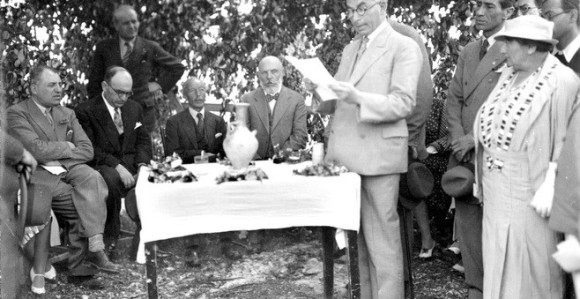Šuma kralja Aleksandra u Izraelu biće prepoznatljiva