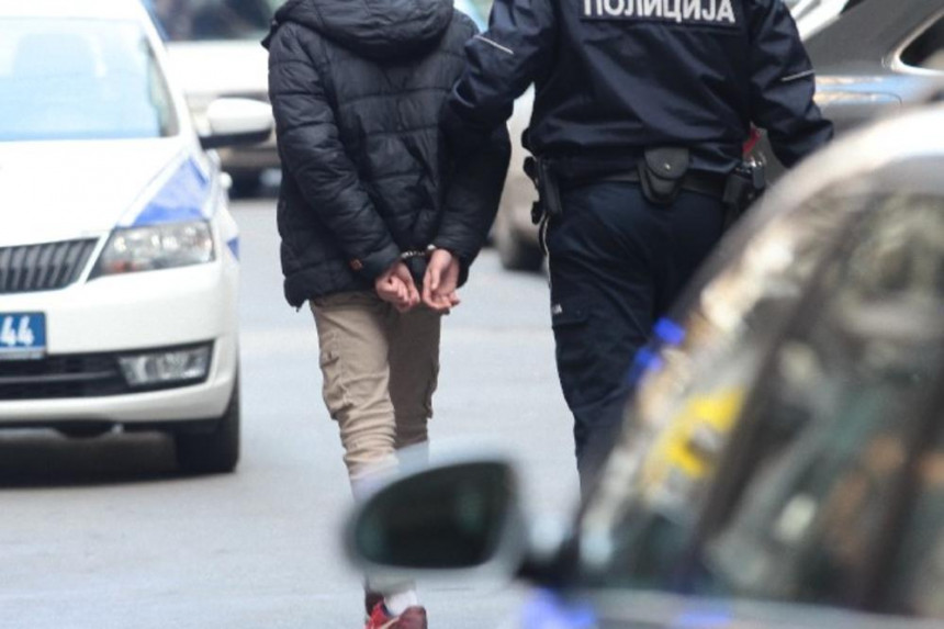 Ухапшено 12 особа, оштетили буџет Србије