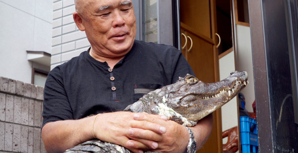 NEVEROVATNO: Japanska porodica živi 40 godina sa krokodilom u kući!