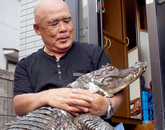 NEVEROVATNO: Japanska porodica živi 40 godina sa krokodilom u kući!