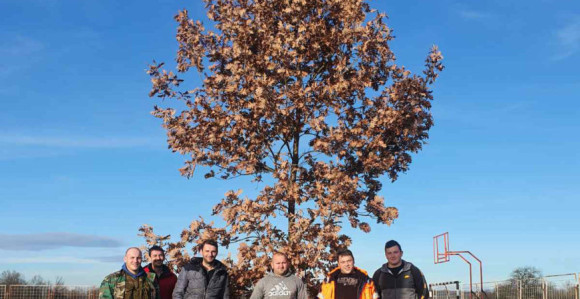 Ukraden badnjak u Brčkom, mještani Gredica ogorčeni